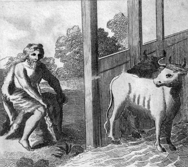 3.jpg image